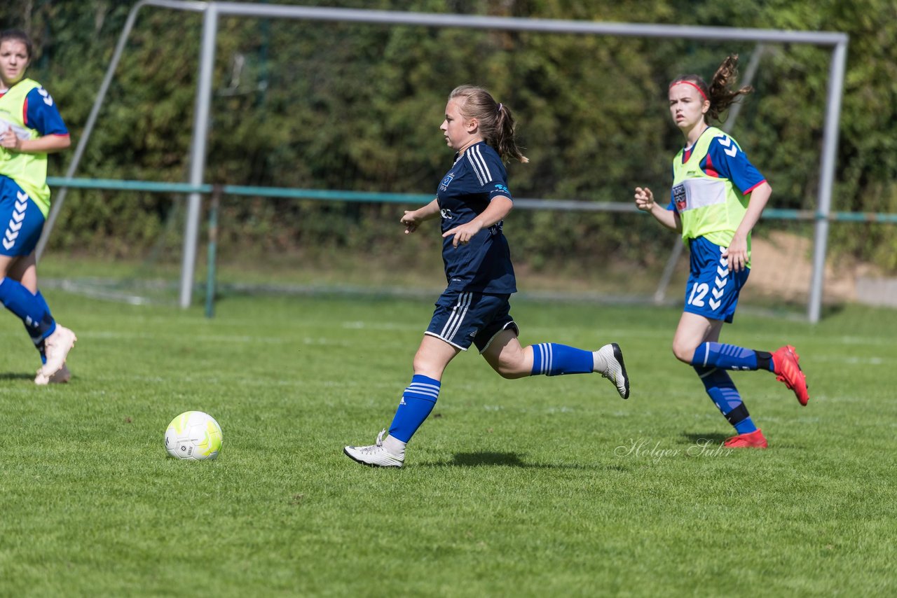 Bild 165 - B-Juniorinnen VfL Pinneberg - HSV : Ergebnis: 1:4